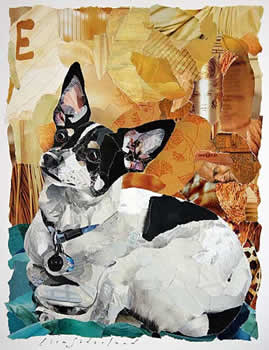 collage of a dog