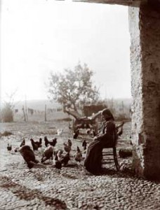 Woman feeding the chickens
