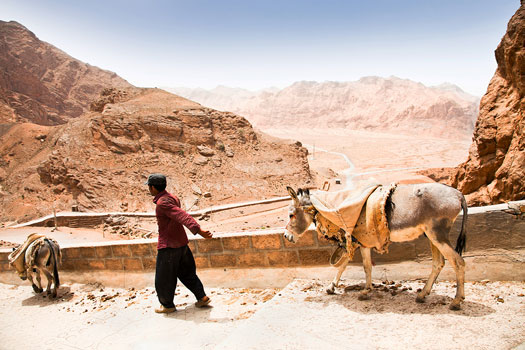 Shepherd with a donkey. Iran