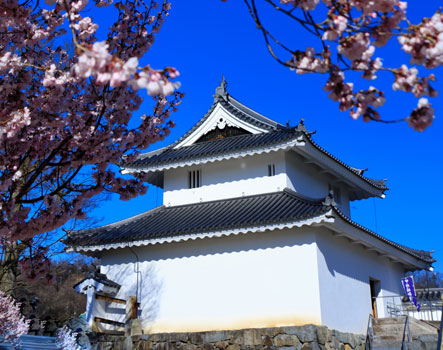 Kofu castle in spring, Japan