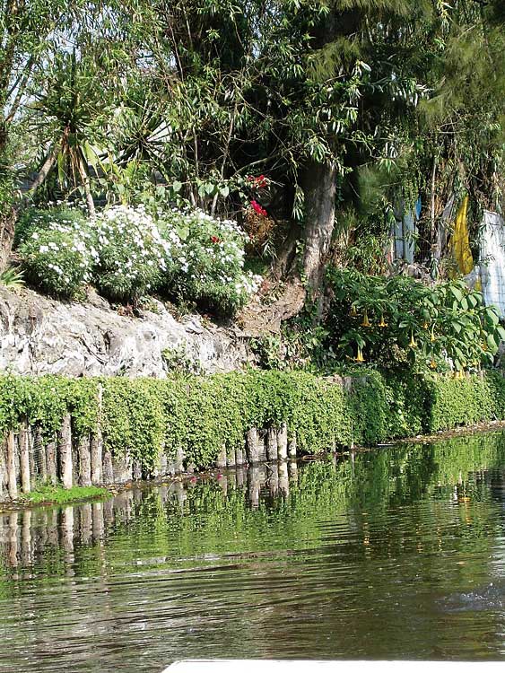 Xochimilco floating garden