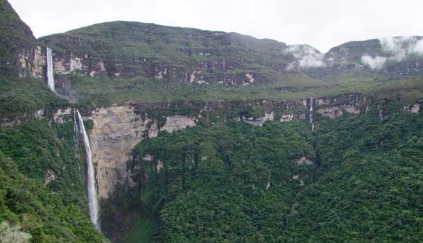 Amazon Forest