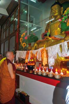 Upon having made three prostrations before the image of the Buddha, Nicky prays