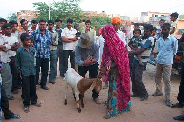 Relief Riders handing over a goat 