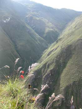 Trekking near Kuelap