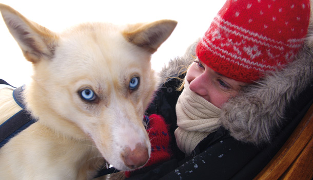 The blue-eyed husky stunner