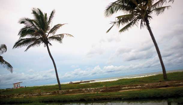 Wonderful palm-lined beach