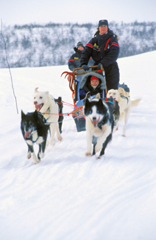 Husky-sledging