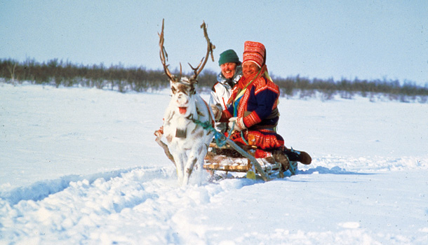 Sami reindeer-sledging